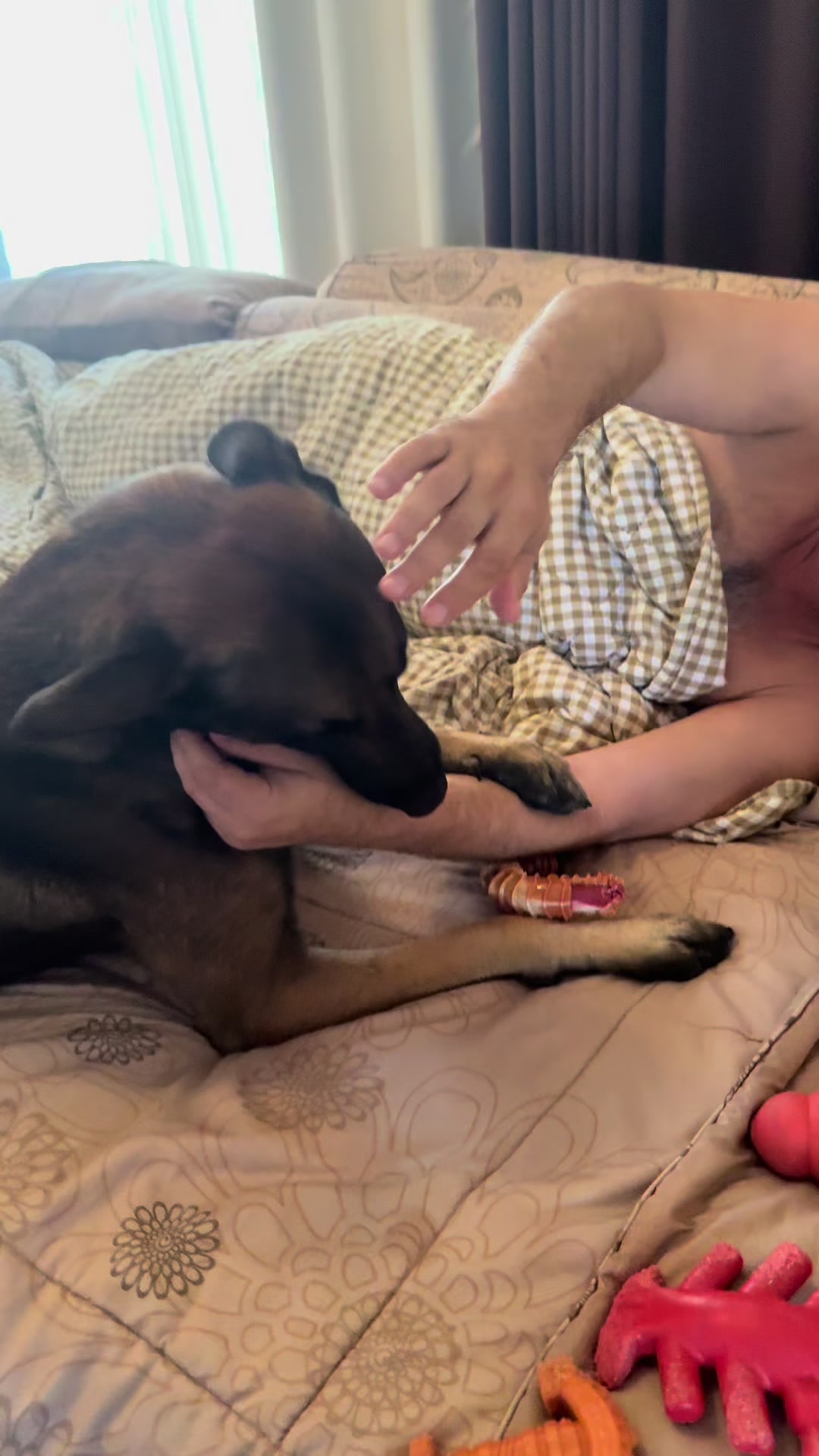 @doglifethailand