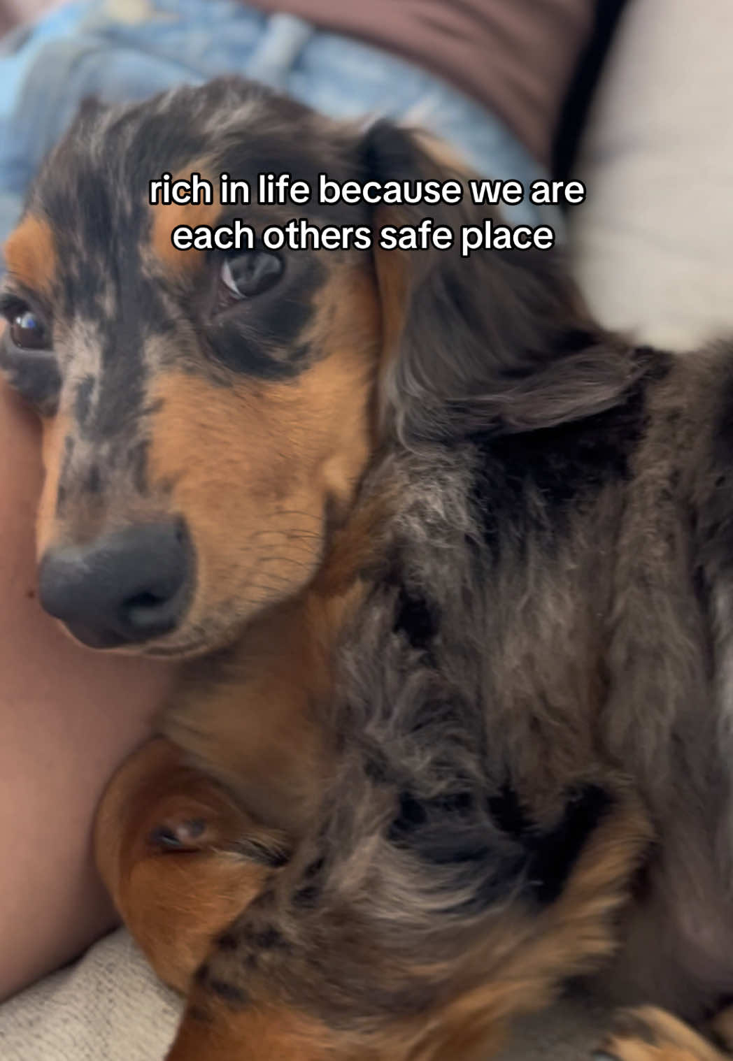 @dennisxrussell