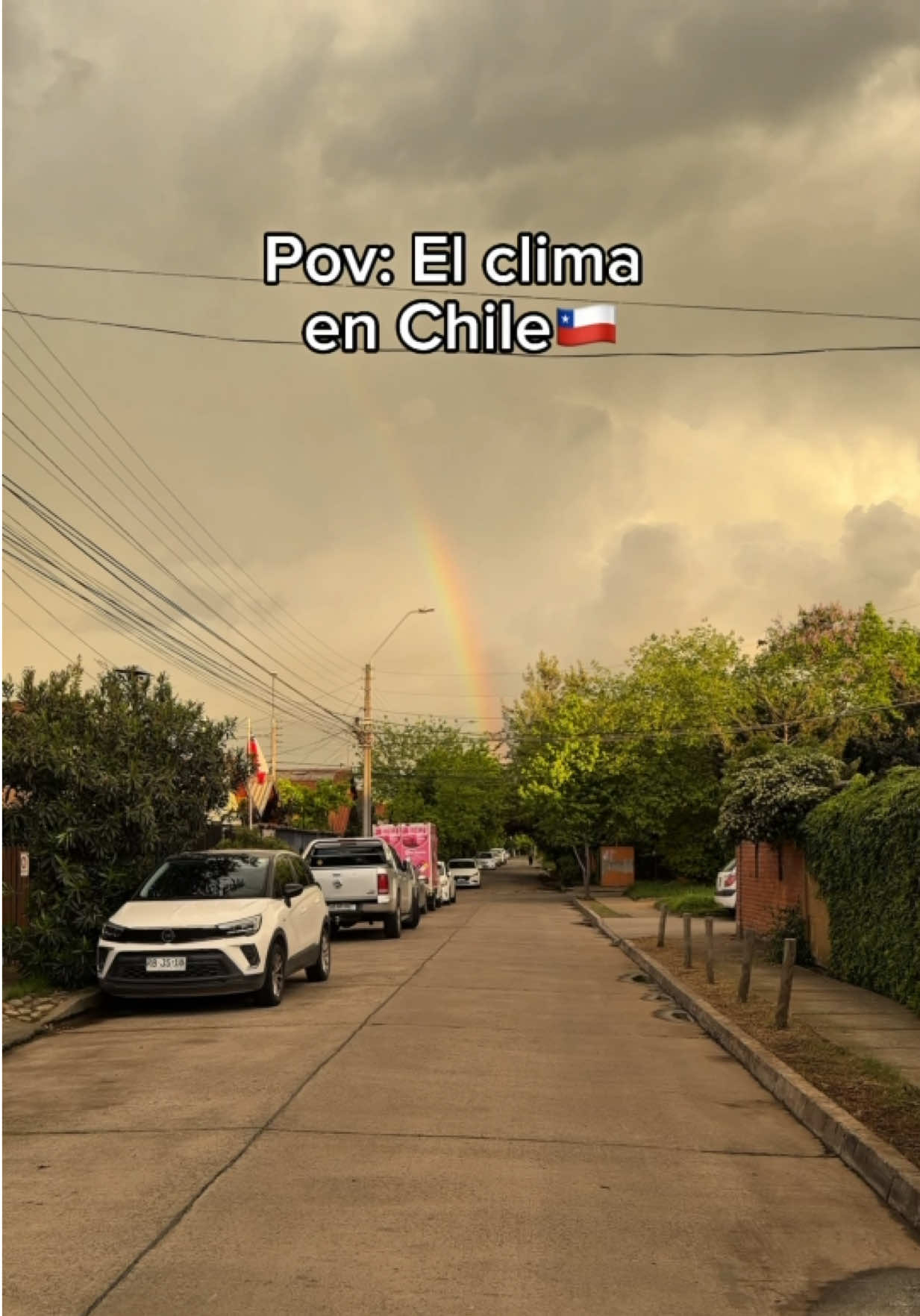 @⚡️El Marley⚡️