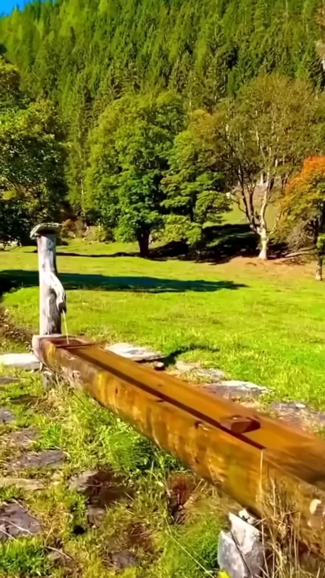 @alnxsssss82267600