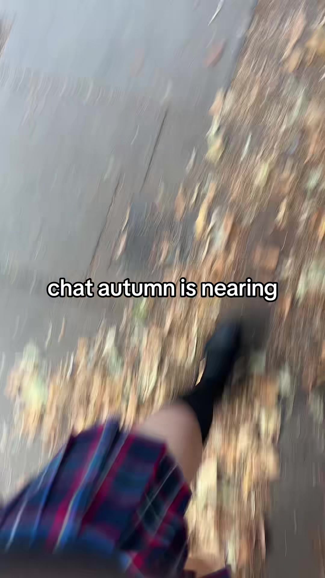 @mimi 🐇