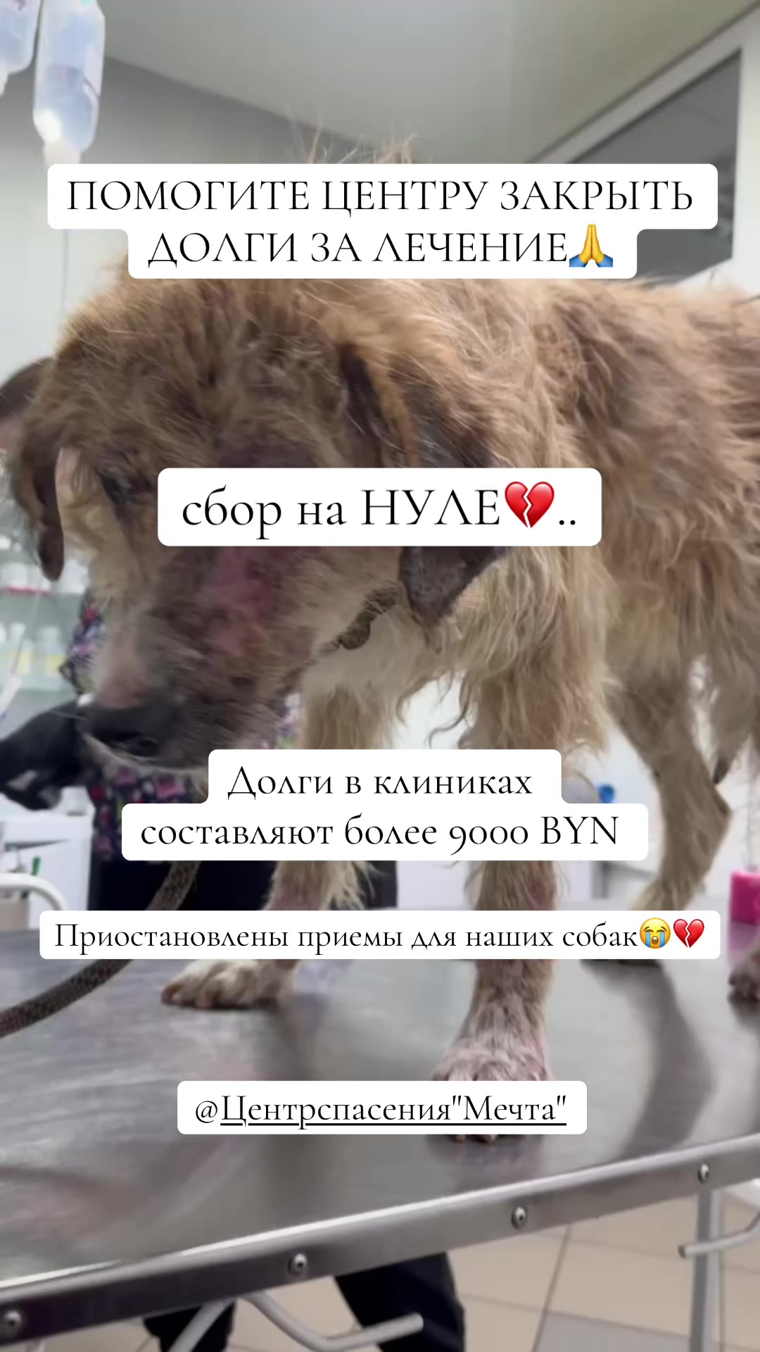 @o.alekseeva
