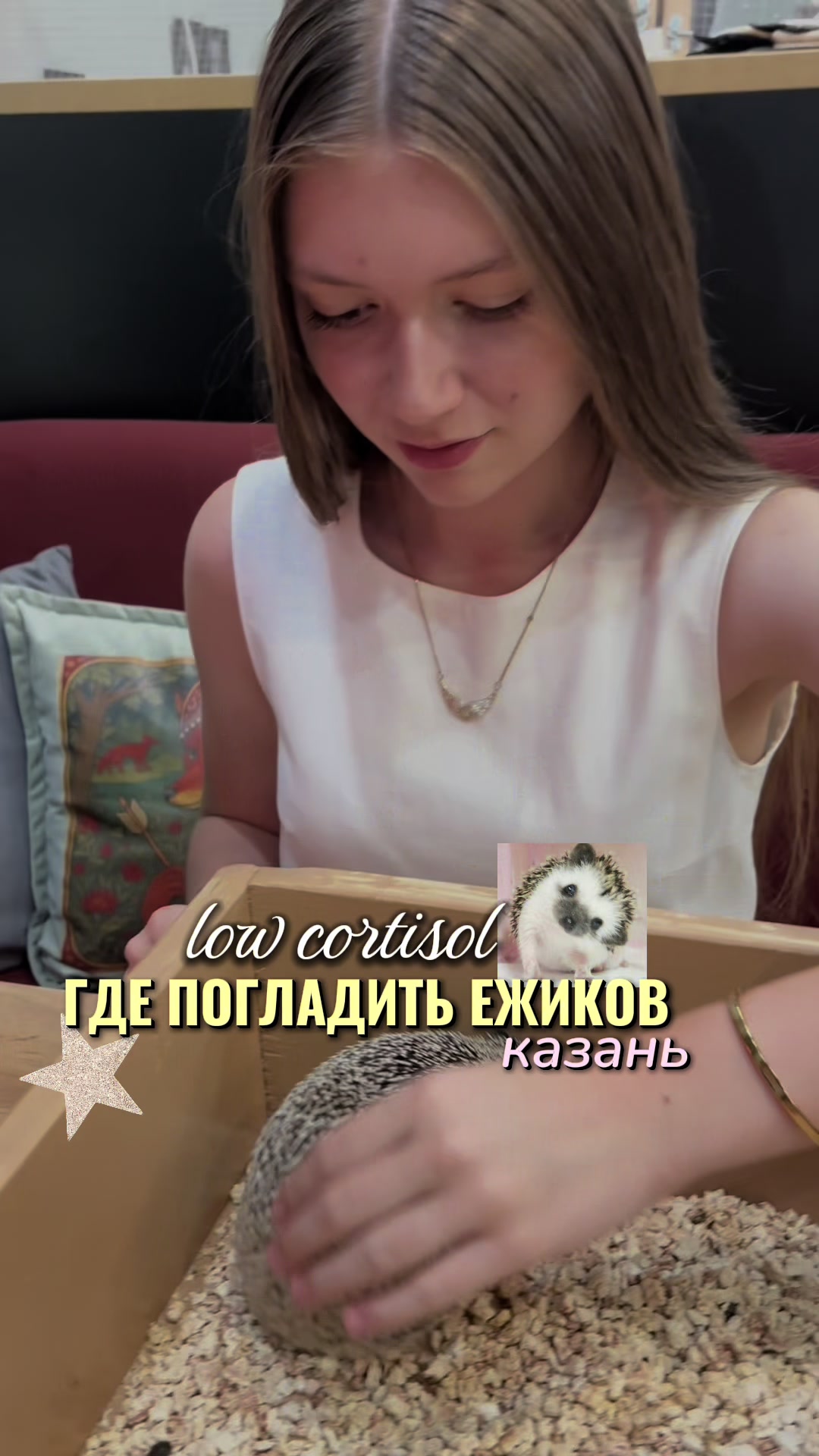 @тгк: майами