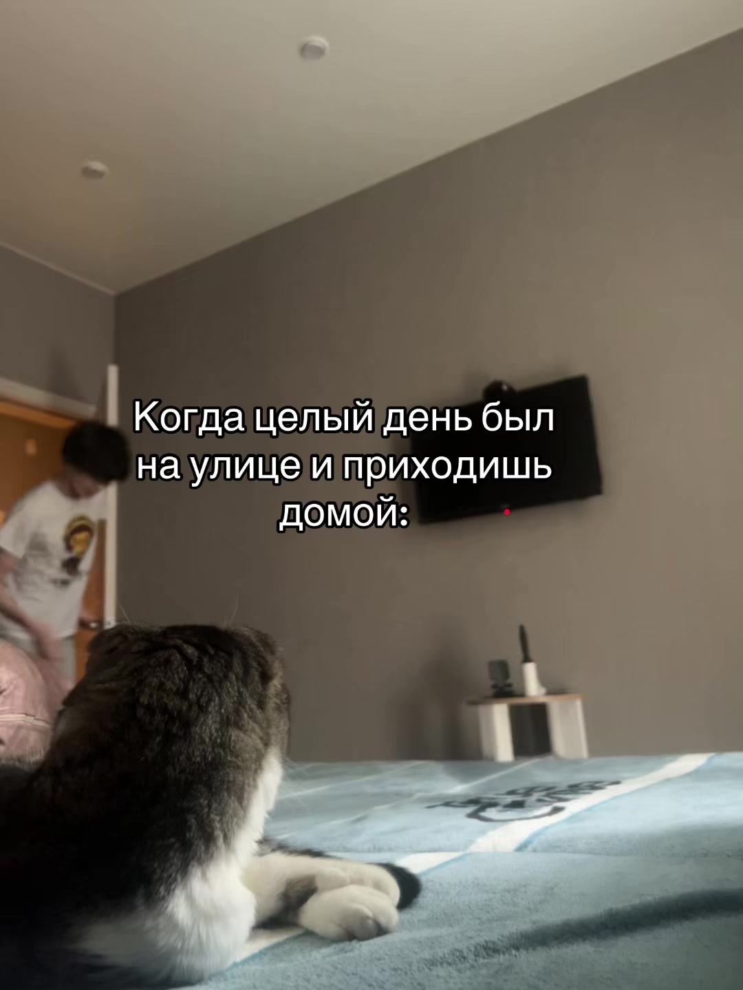 @ТГК: im asya ()