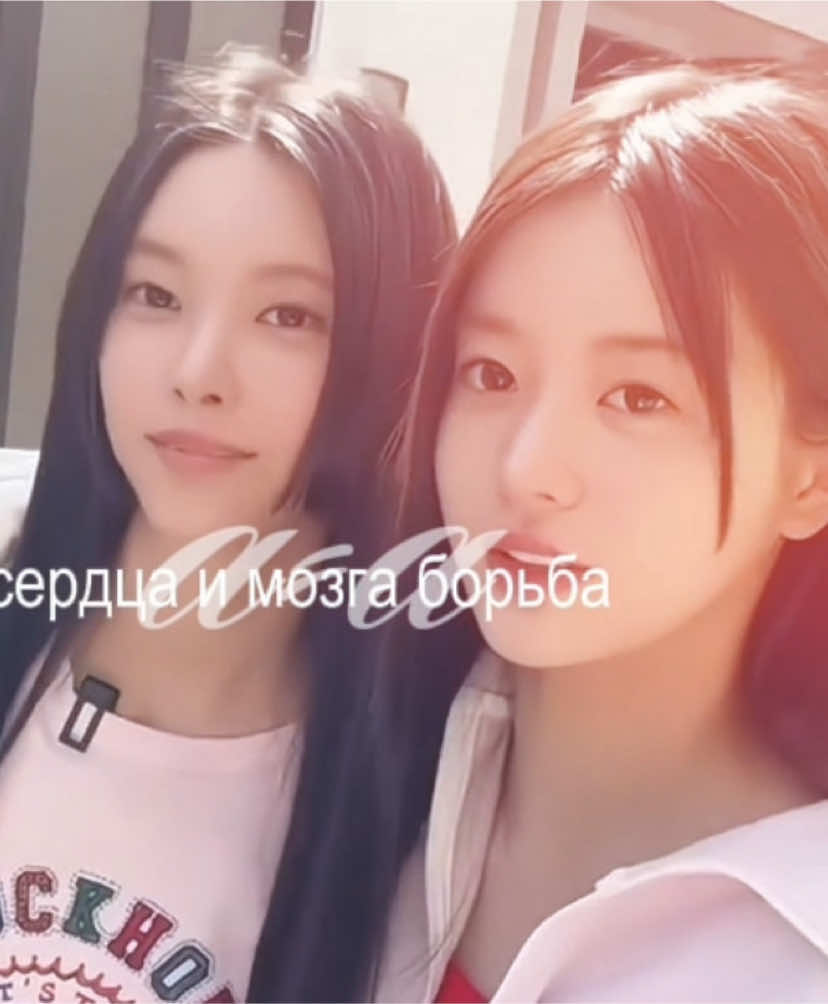 @пак вонхи #дочьсакуры