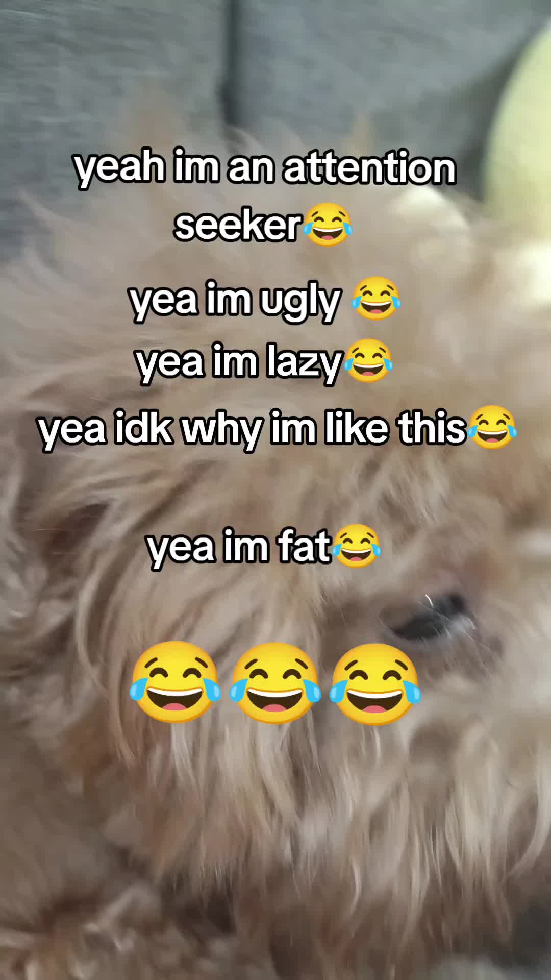 @E.