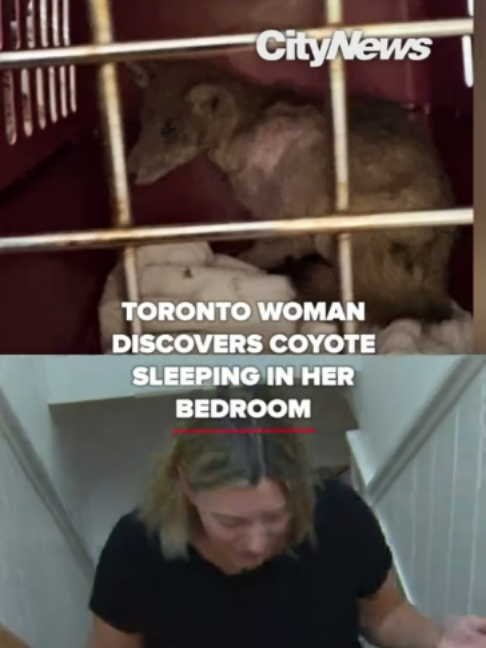 @CityNews