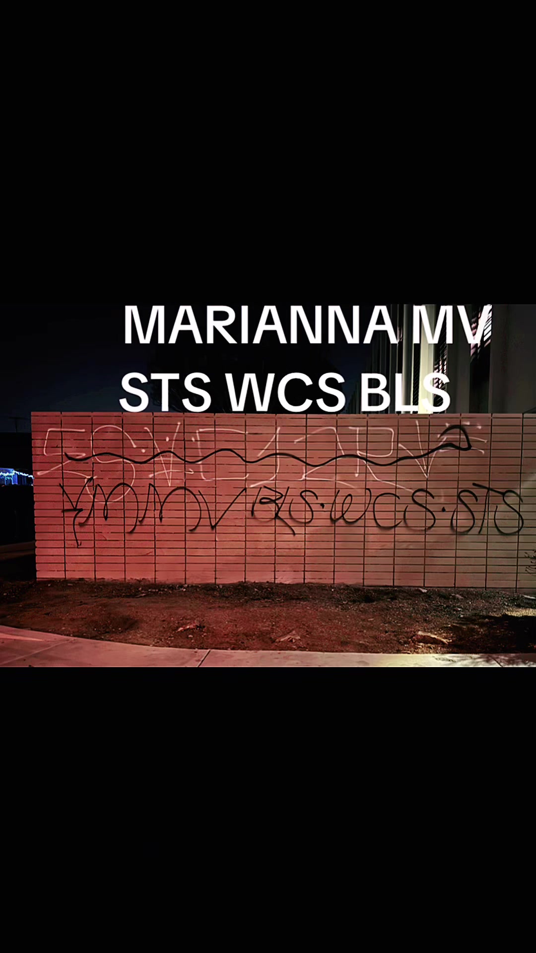 @GORDO- MARIANNA MV 323