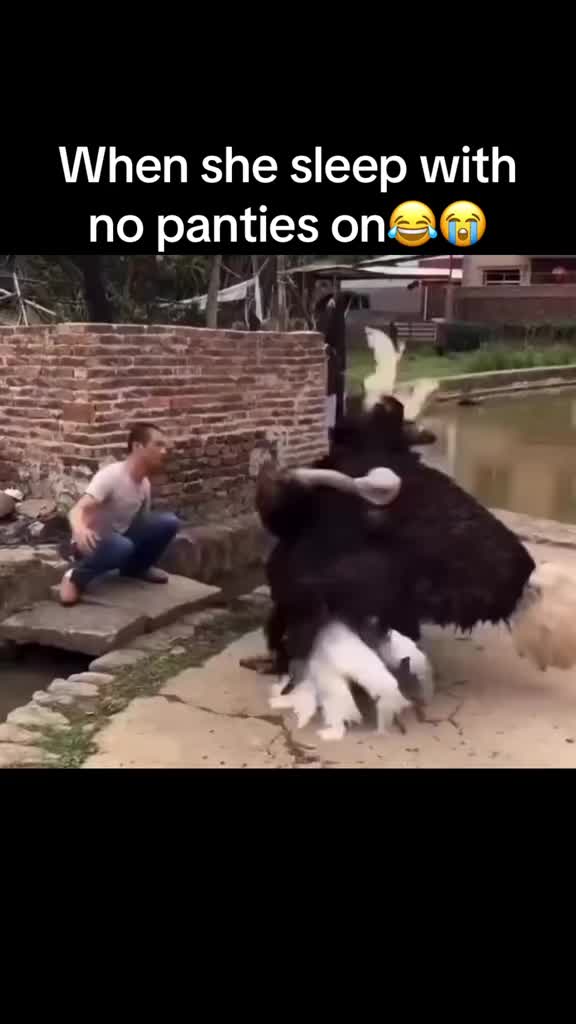 @BlastKrazzie