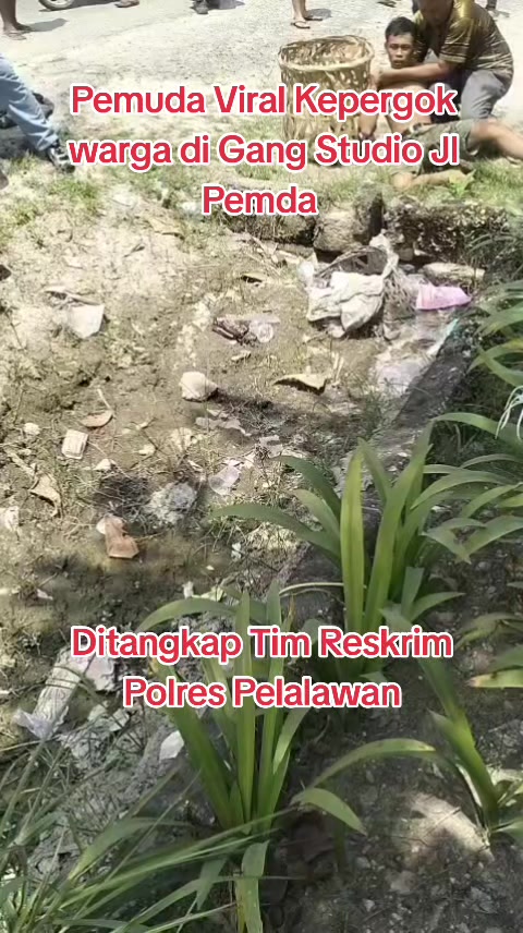@Haluan Riau Pelalawan