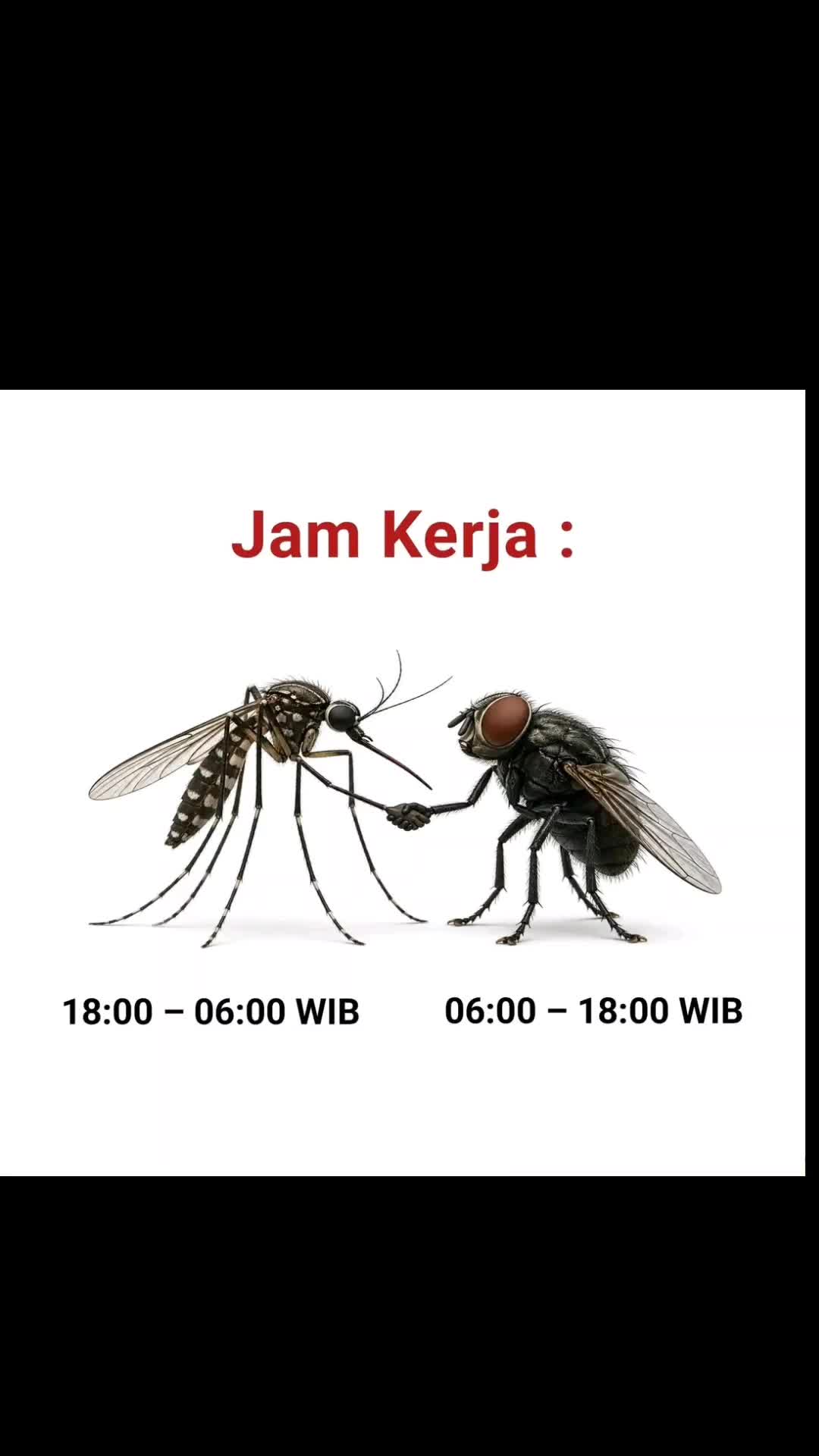 @Karumbang