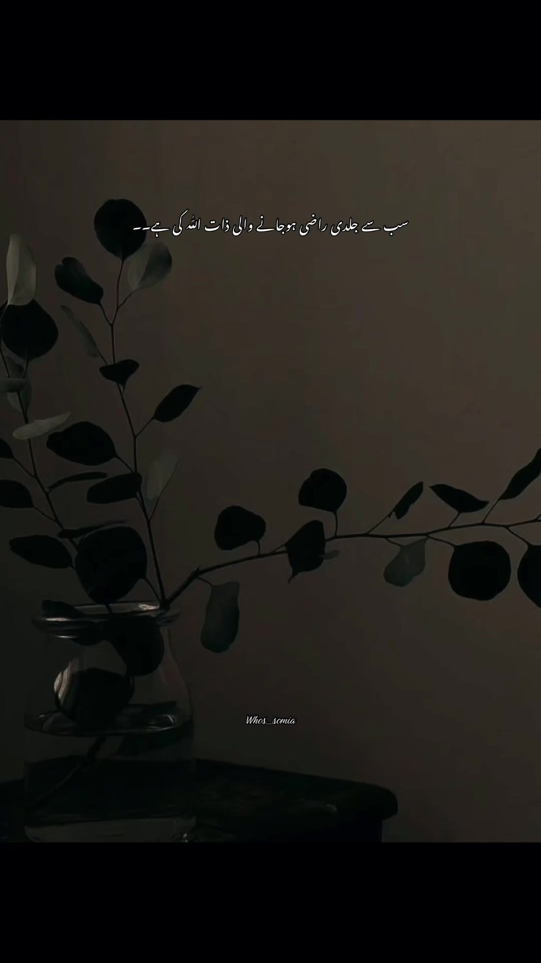@سومیا🕊️