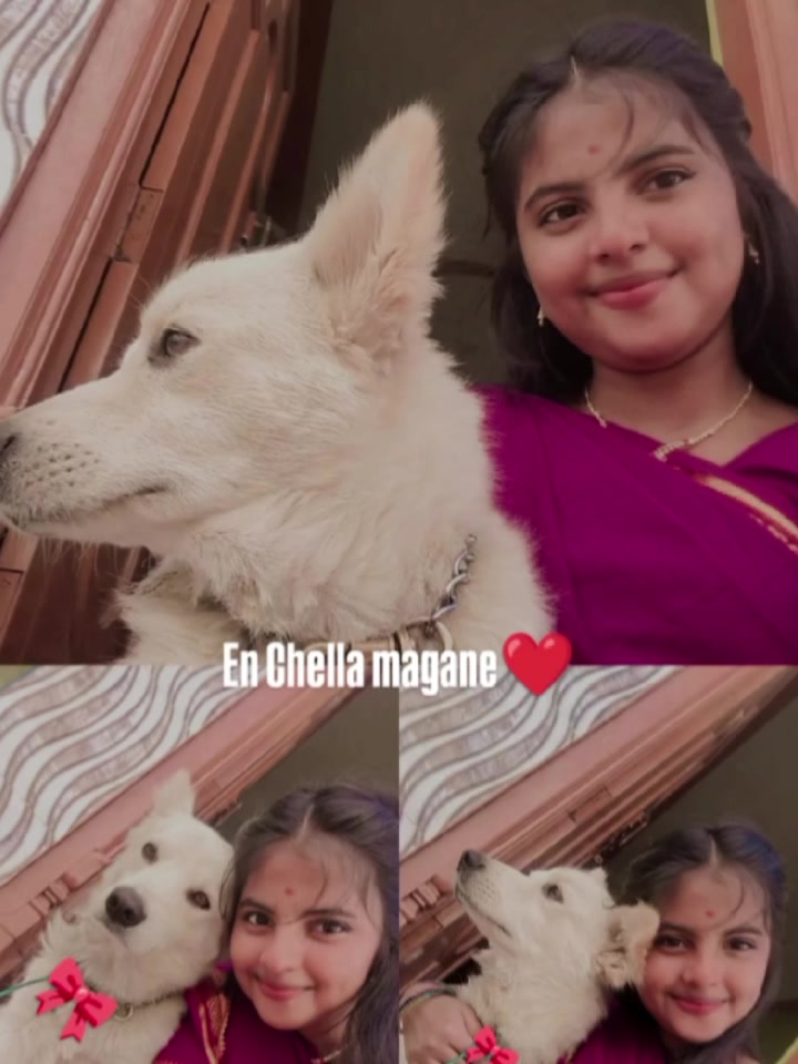 @SANDHIYA_3029