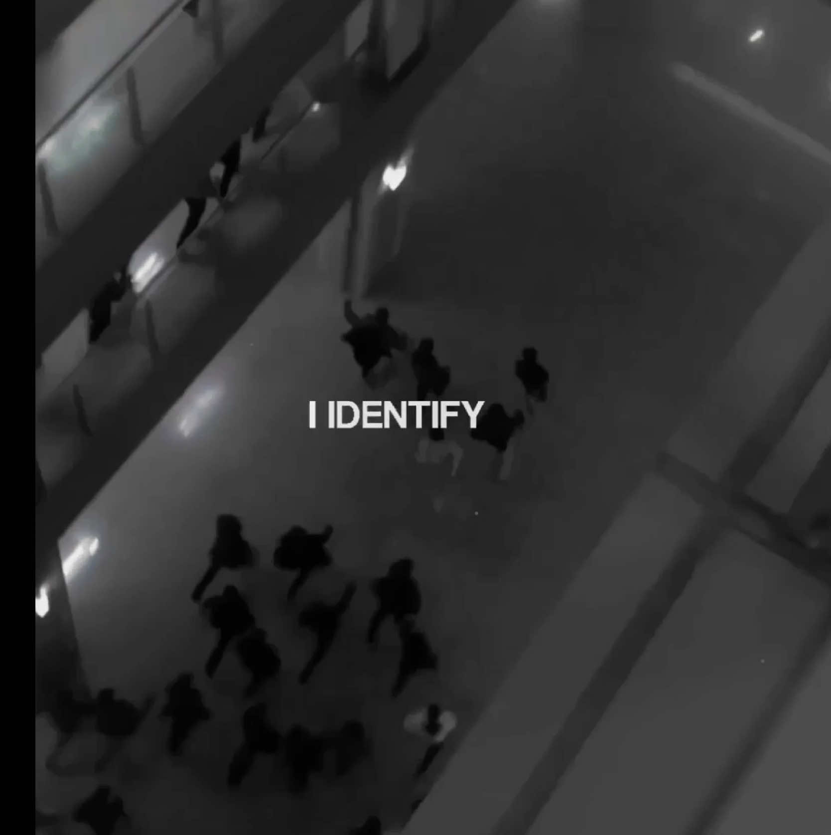 @✦ ZENITH
