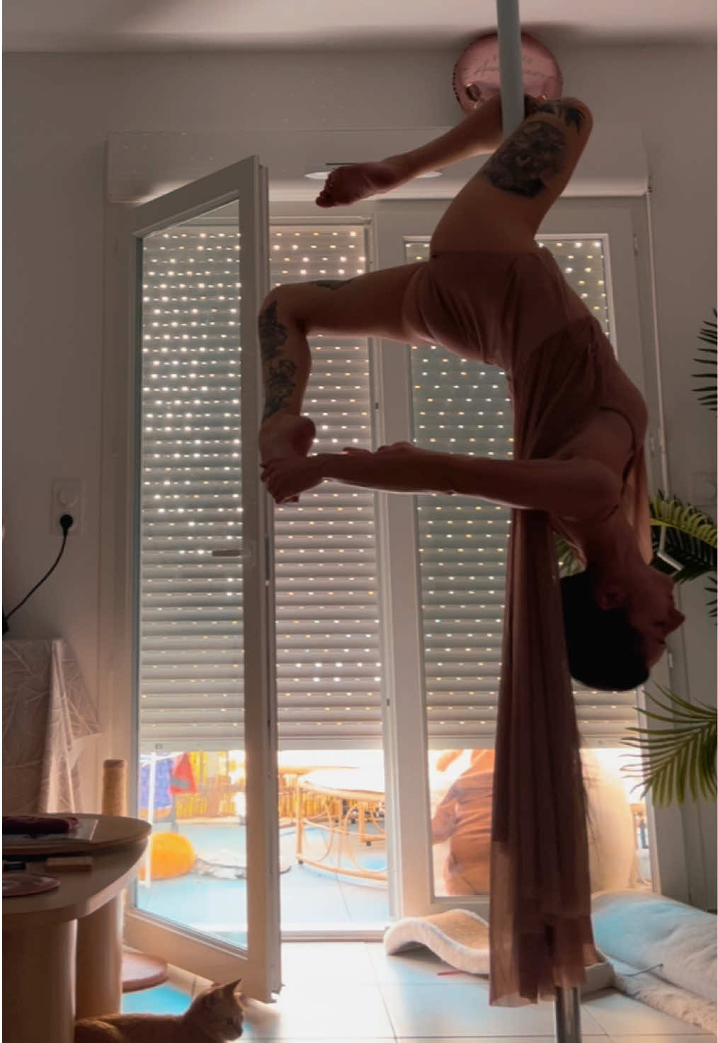 @Mieleesy 🦊