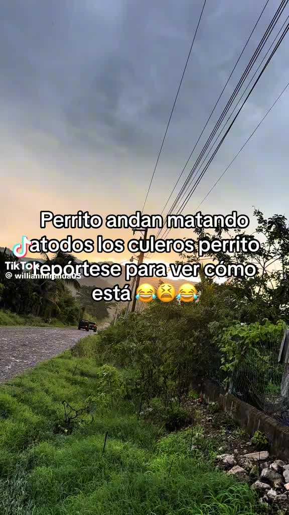 @soymolina