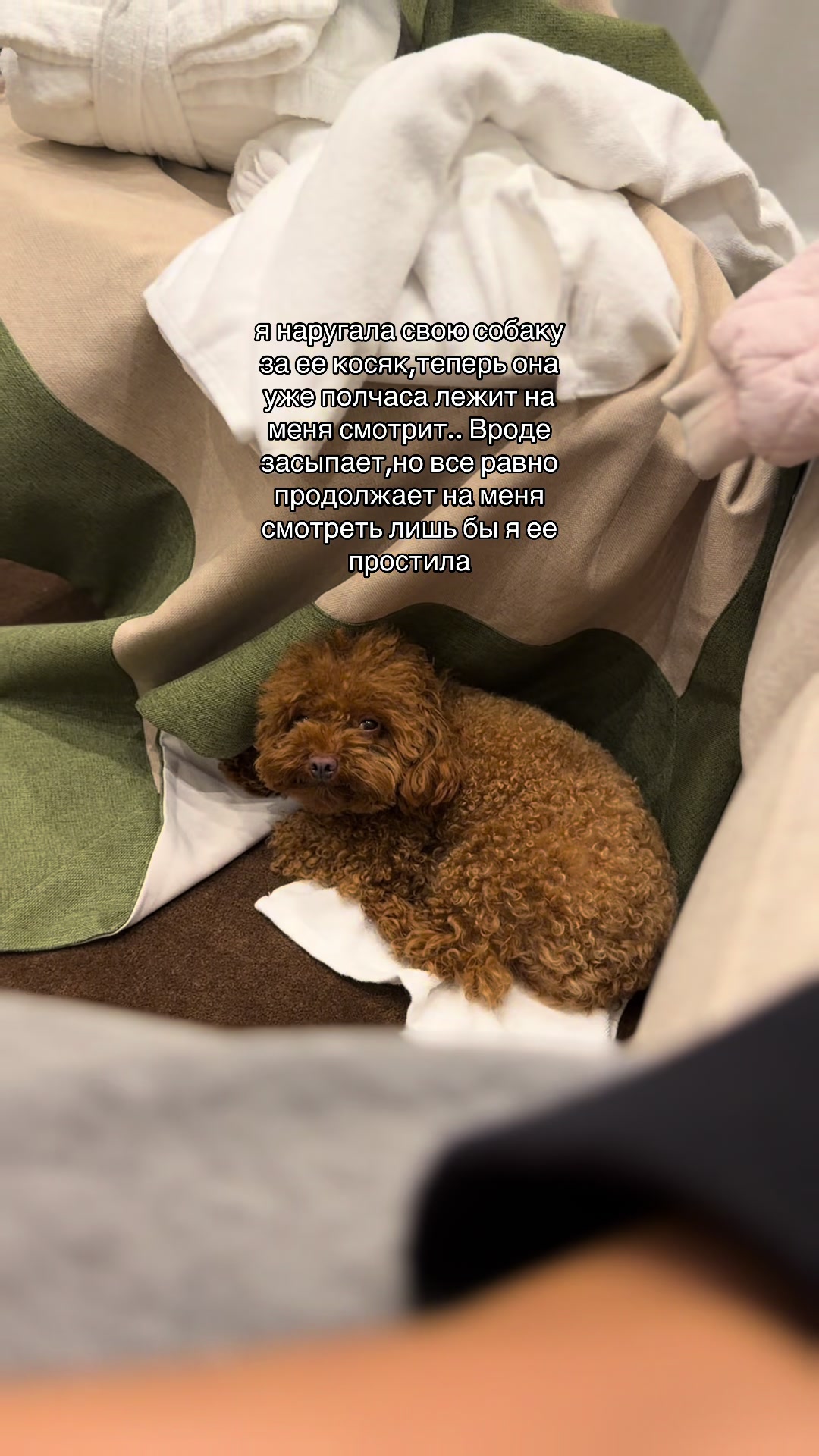 @Джульетта,но без Ромео