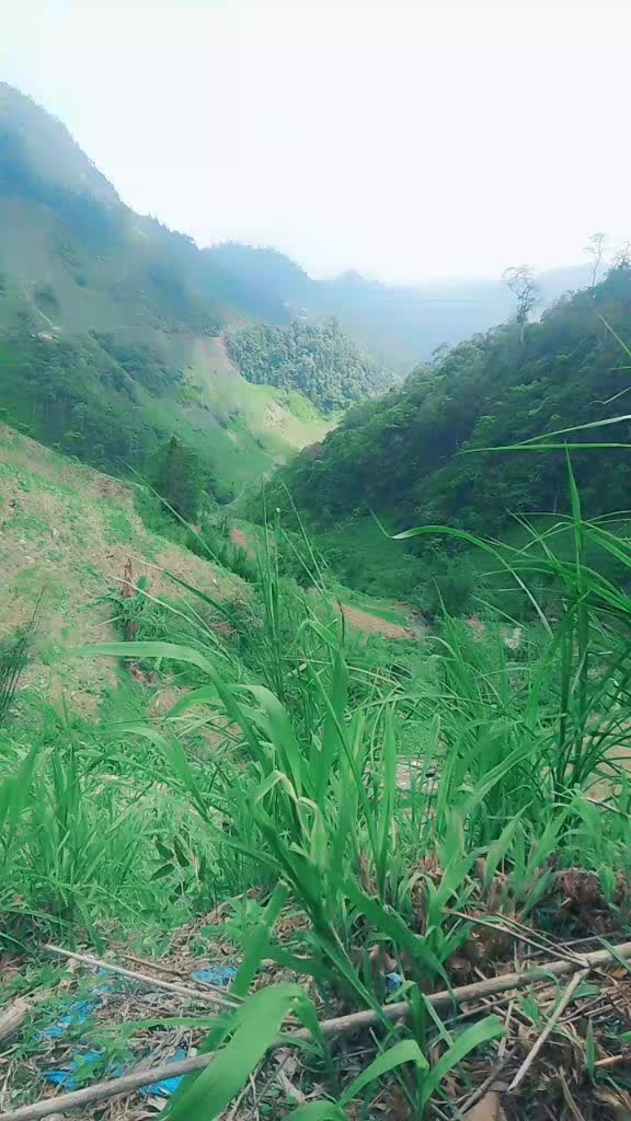 @s&aacute;ng