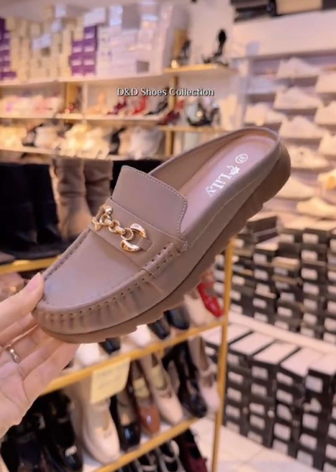 @D&D Shoes Collection