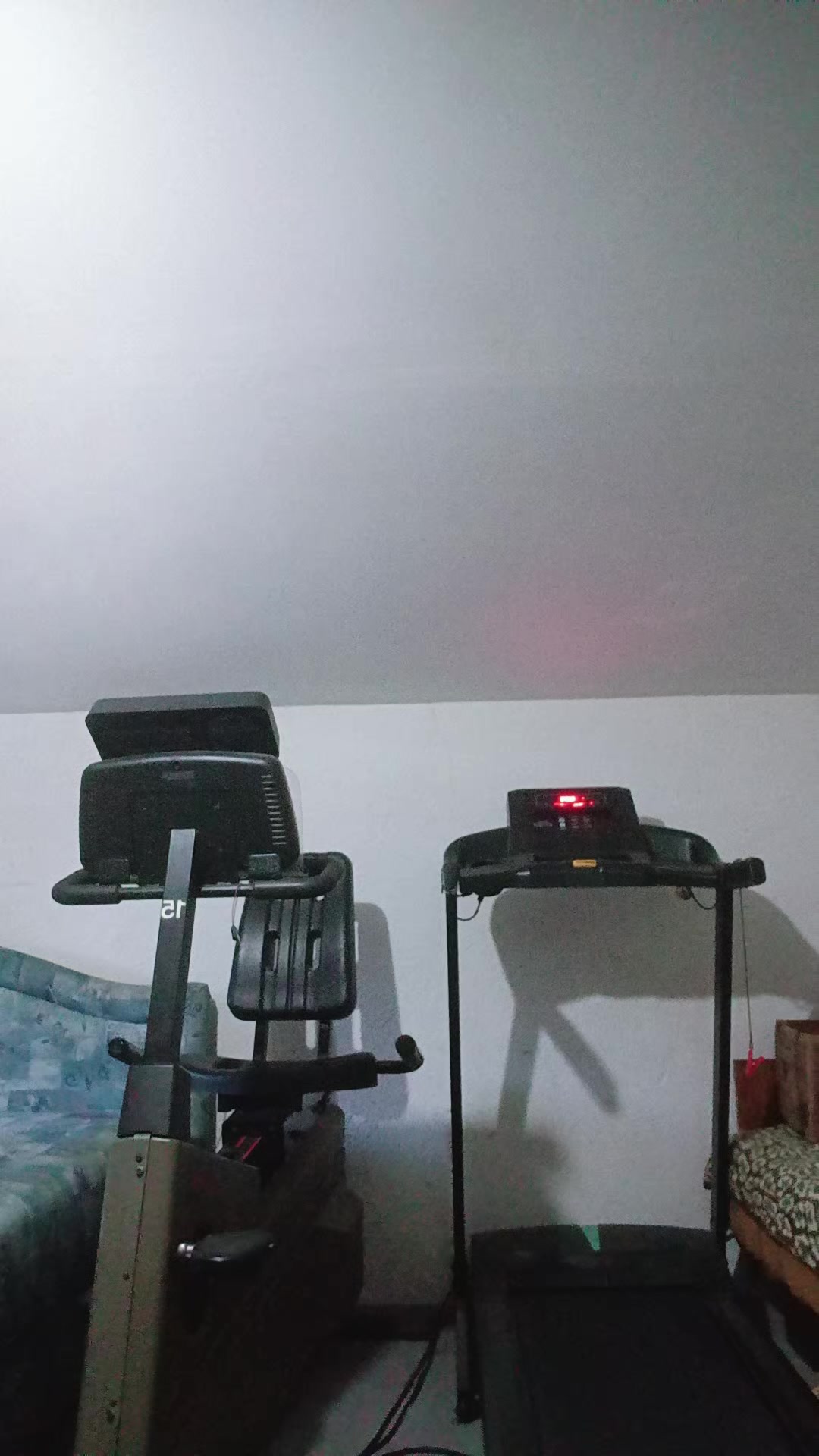 @aldijana