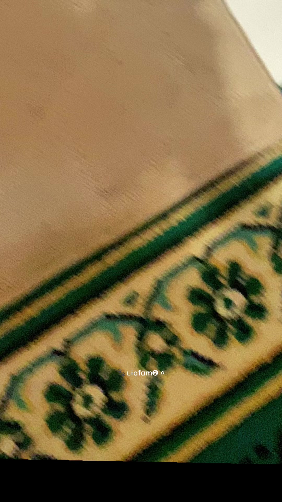 @ʟɨօfαm➋ ⌕ 🐾