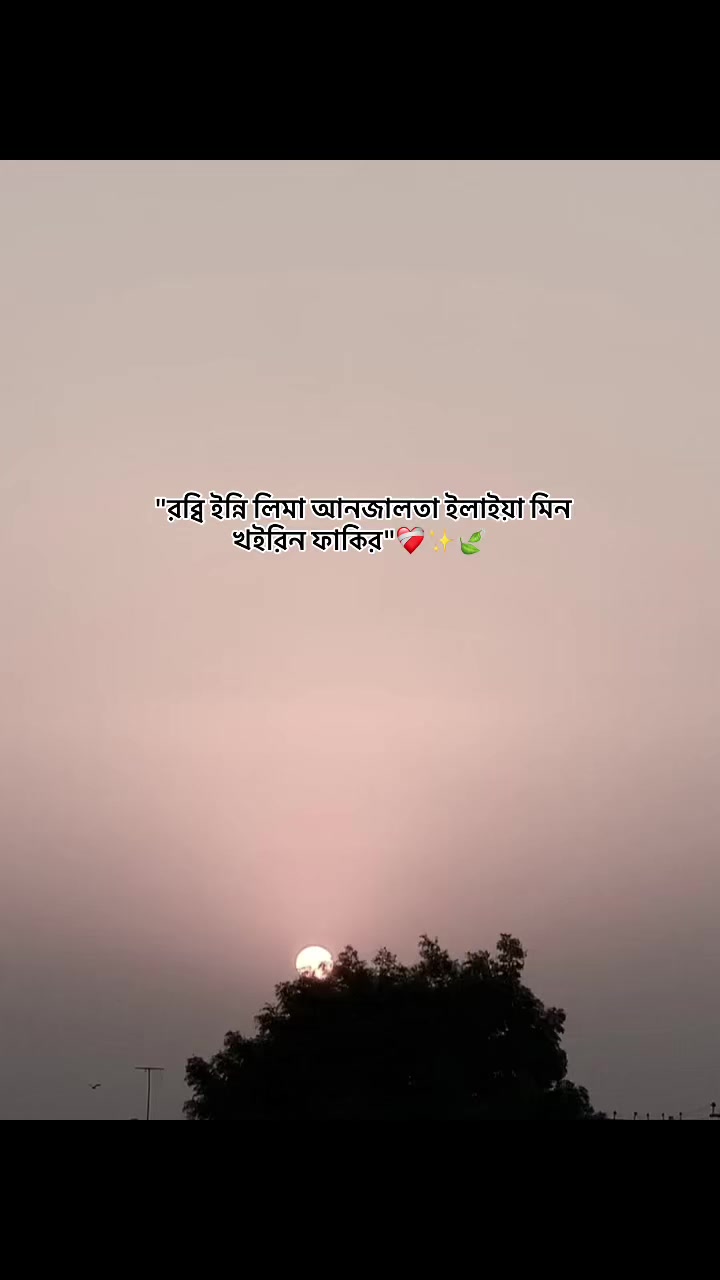 @⋆ 𐙚𝗠𝗔𝗛𝐈𝗥ꫝ_!i🌷🫧