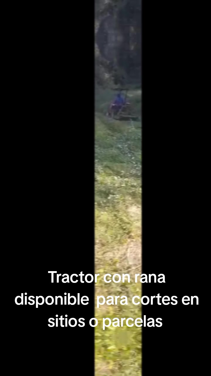 @tallermec&aacute;nico y performan