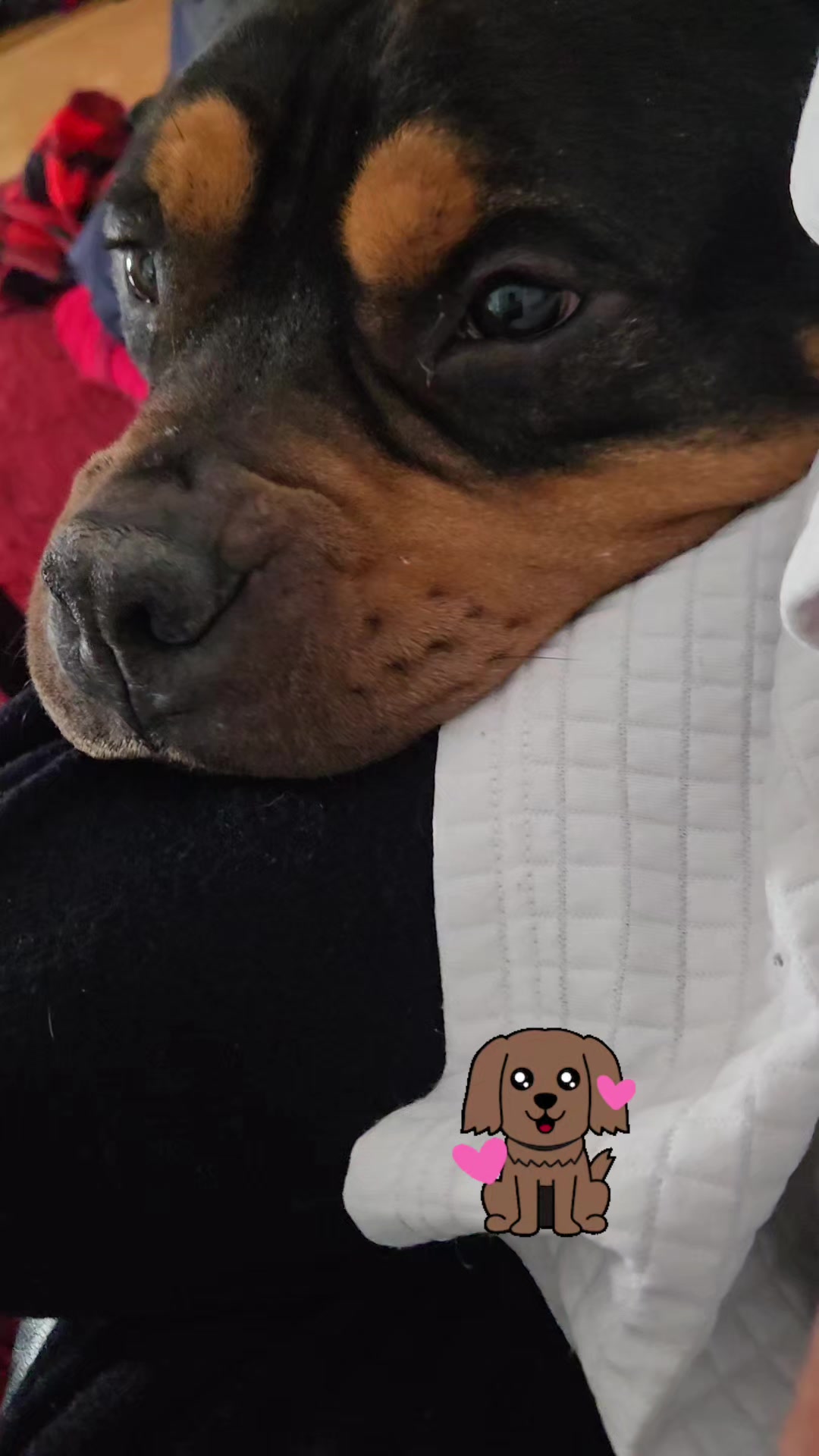 @smrczekmom