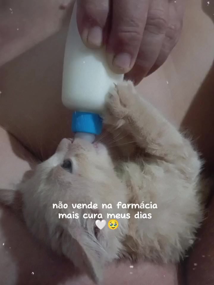 @Tais felicia