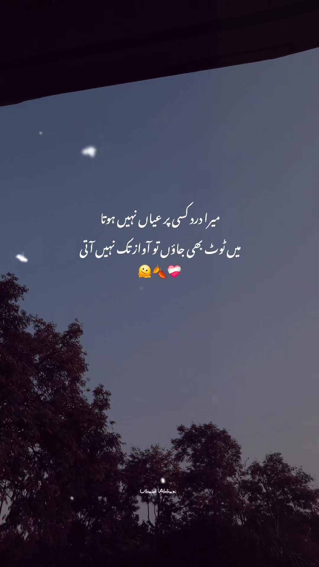 @Ubaid Abbasi ⚜️