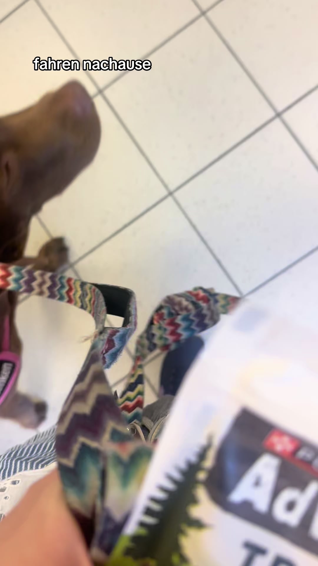 @teamlidialissy