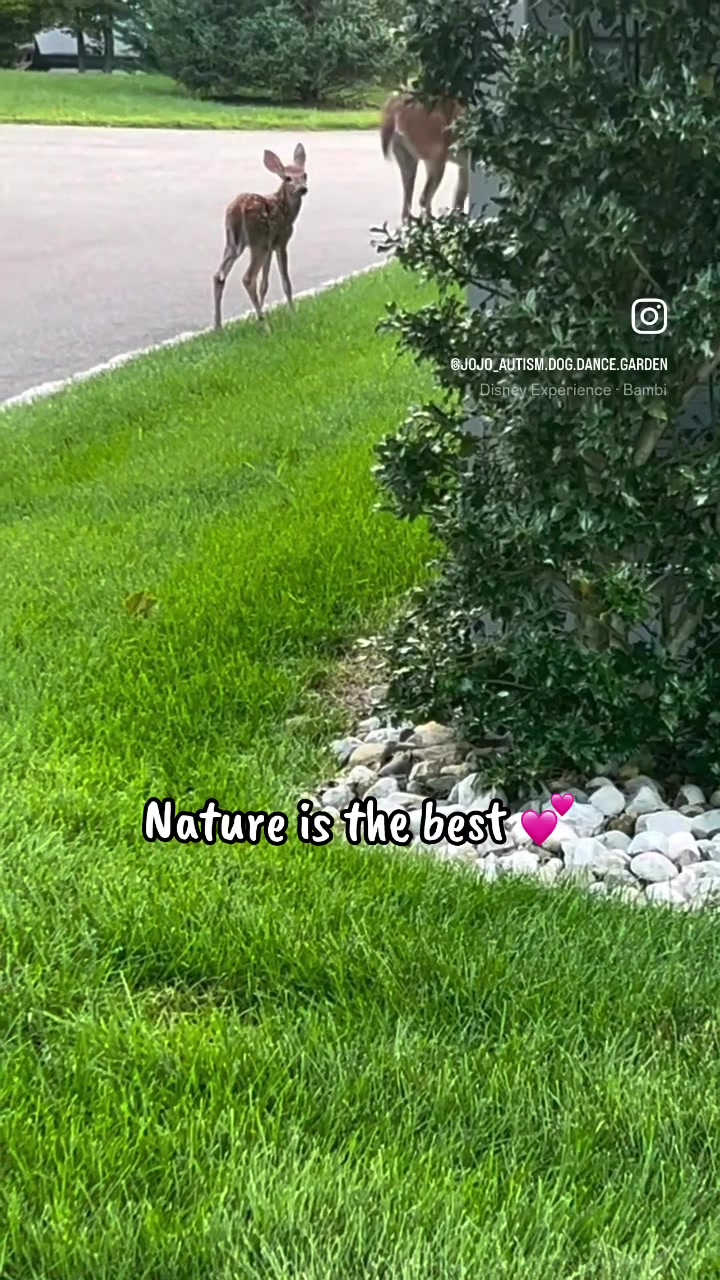 @jojo♥️autism💚garden💙dogmom