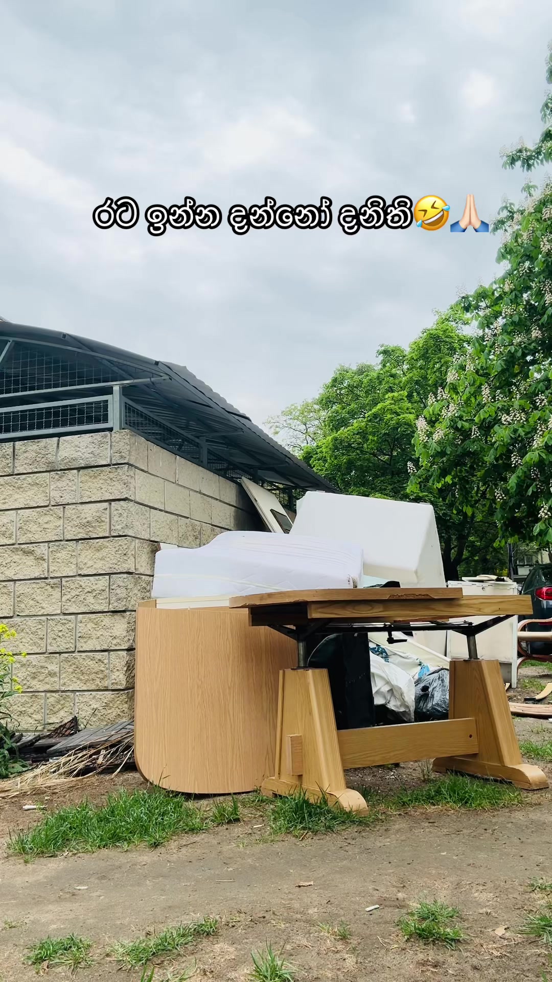 @Mane Girl🎭 ( මනා)