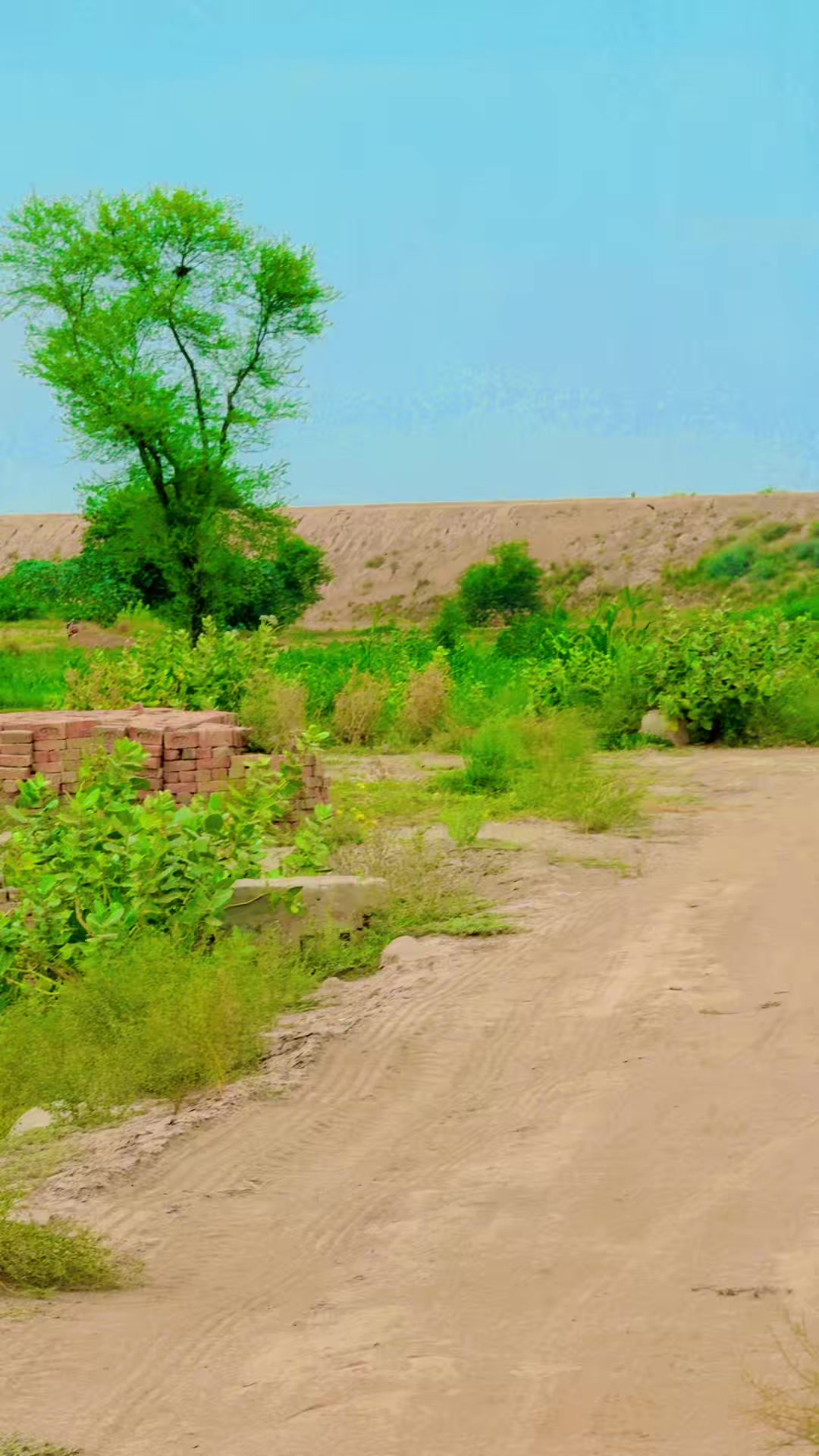 @Billo khan