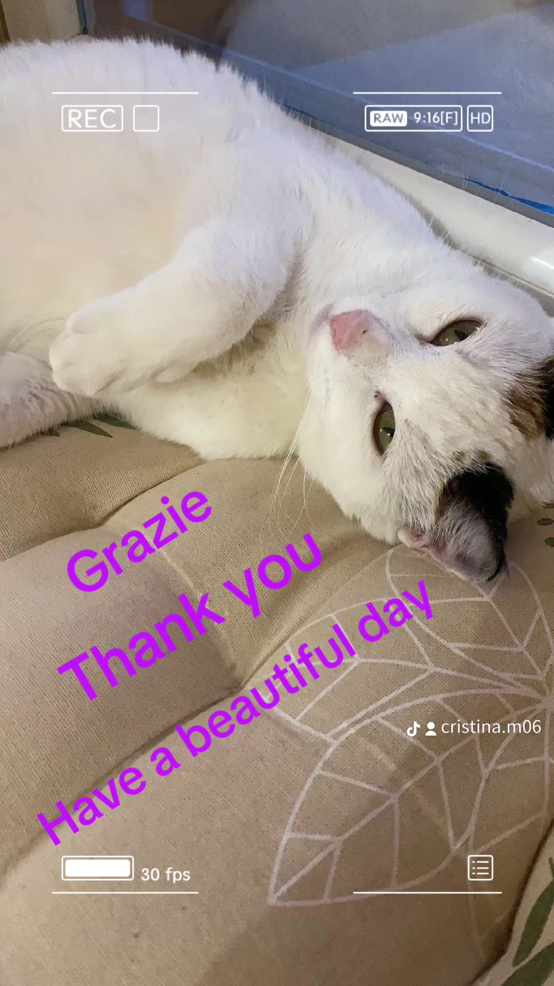 @Celestem06