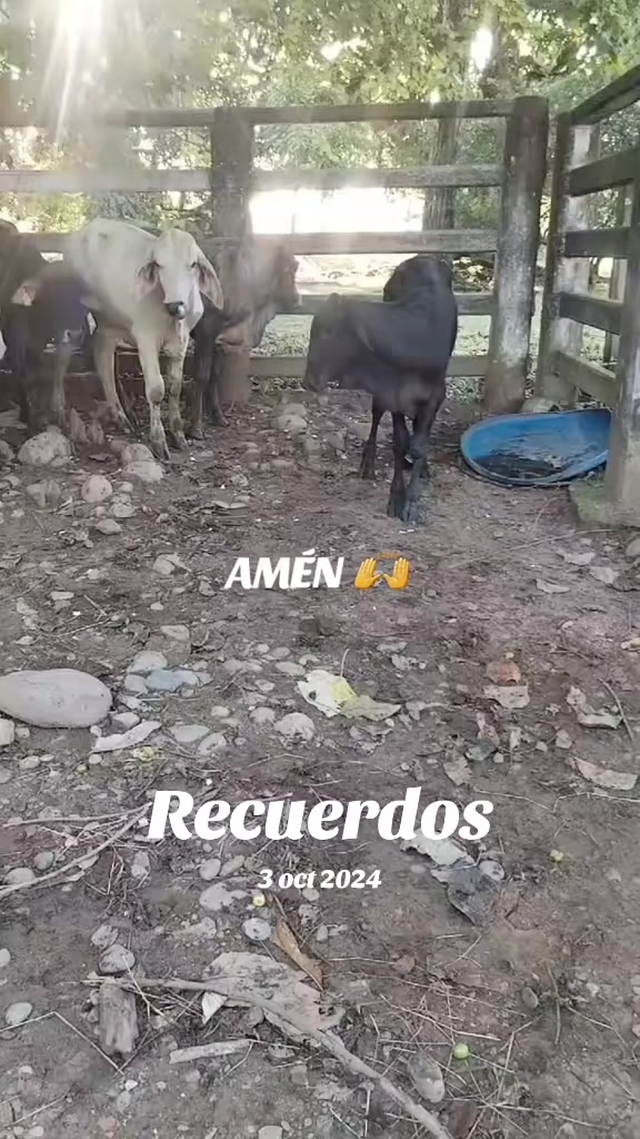 @Milena Medina