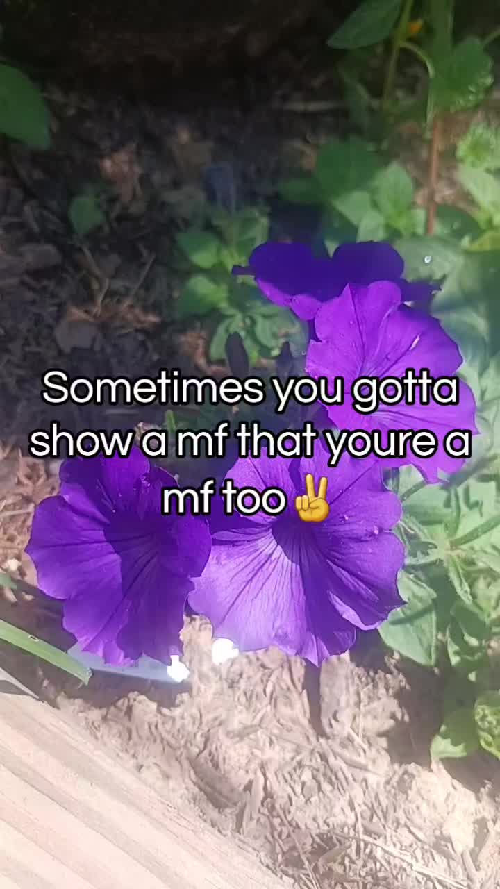 @Jackie🧚&zwj;♀️the garden hippie✨️