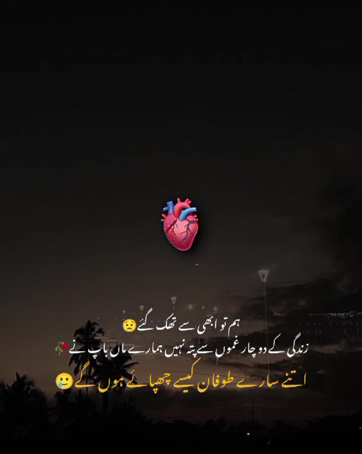 @MrS ArSaLaN♥️