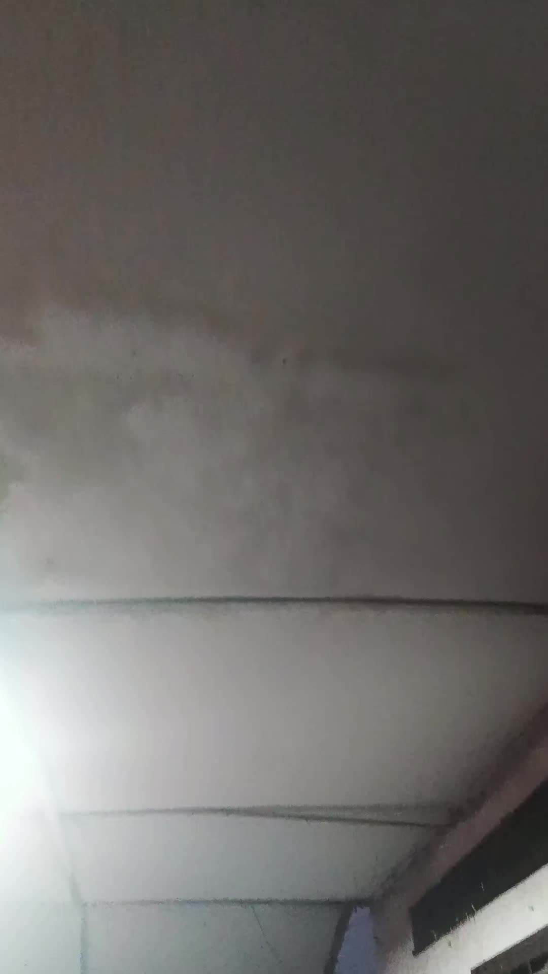 @𝓼𝔂𝓪𝓯𝓲𝓺🐢