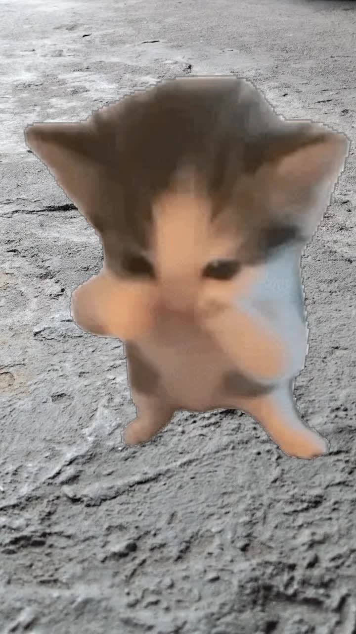 @Lɪɢʜᴛᴛ