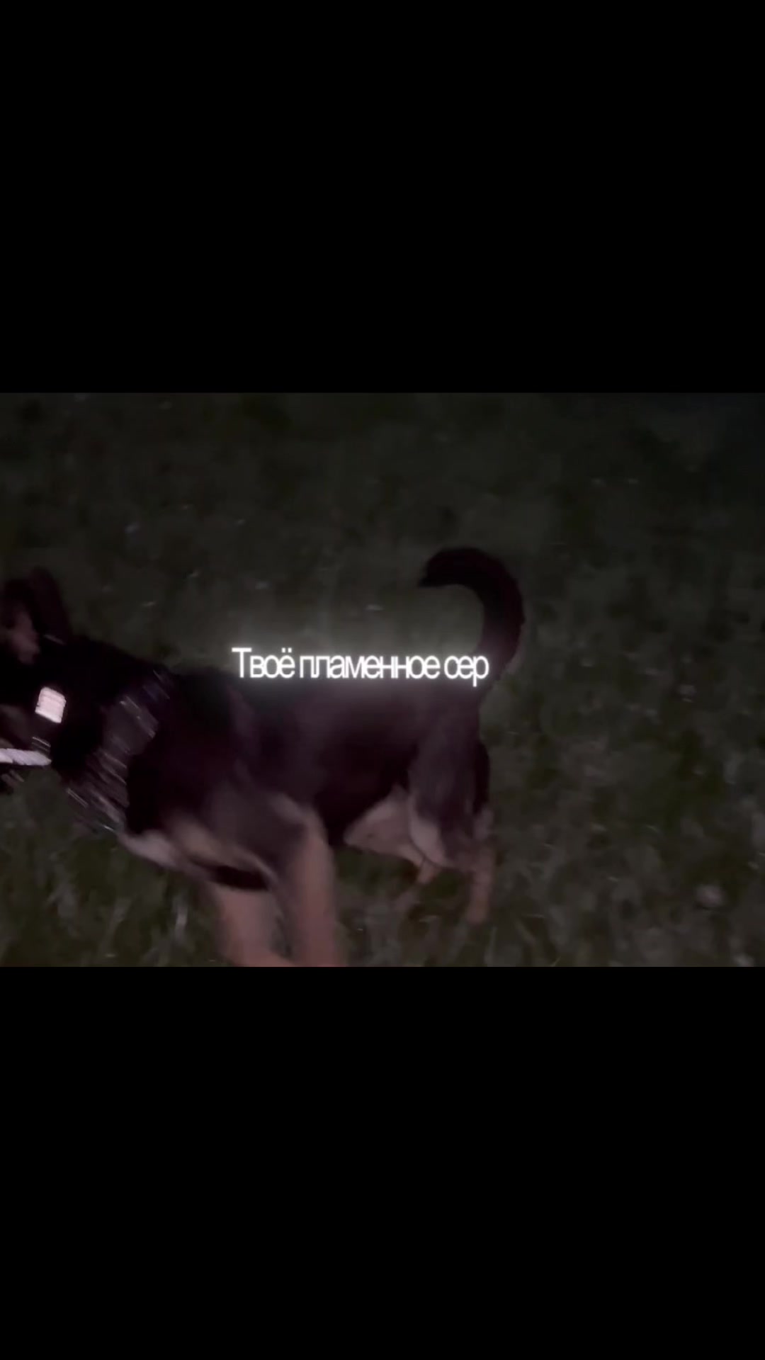 @♰котёнок♰