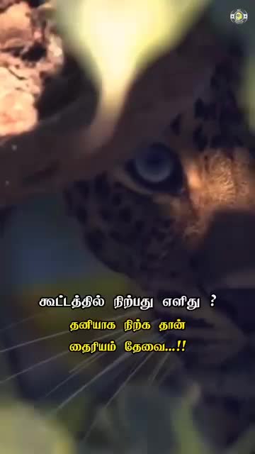 @prasanth baby 🗡🇱🇰