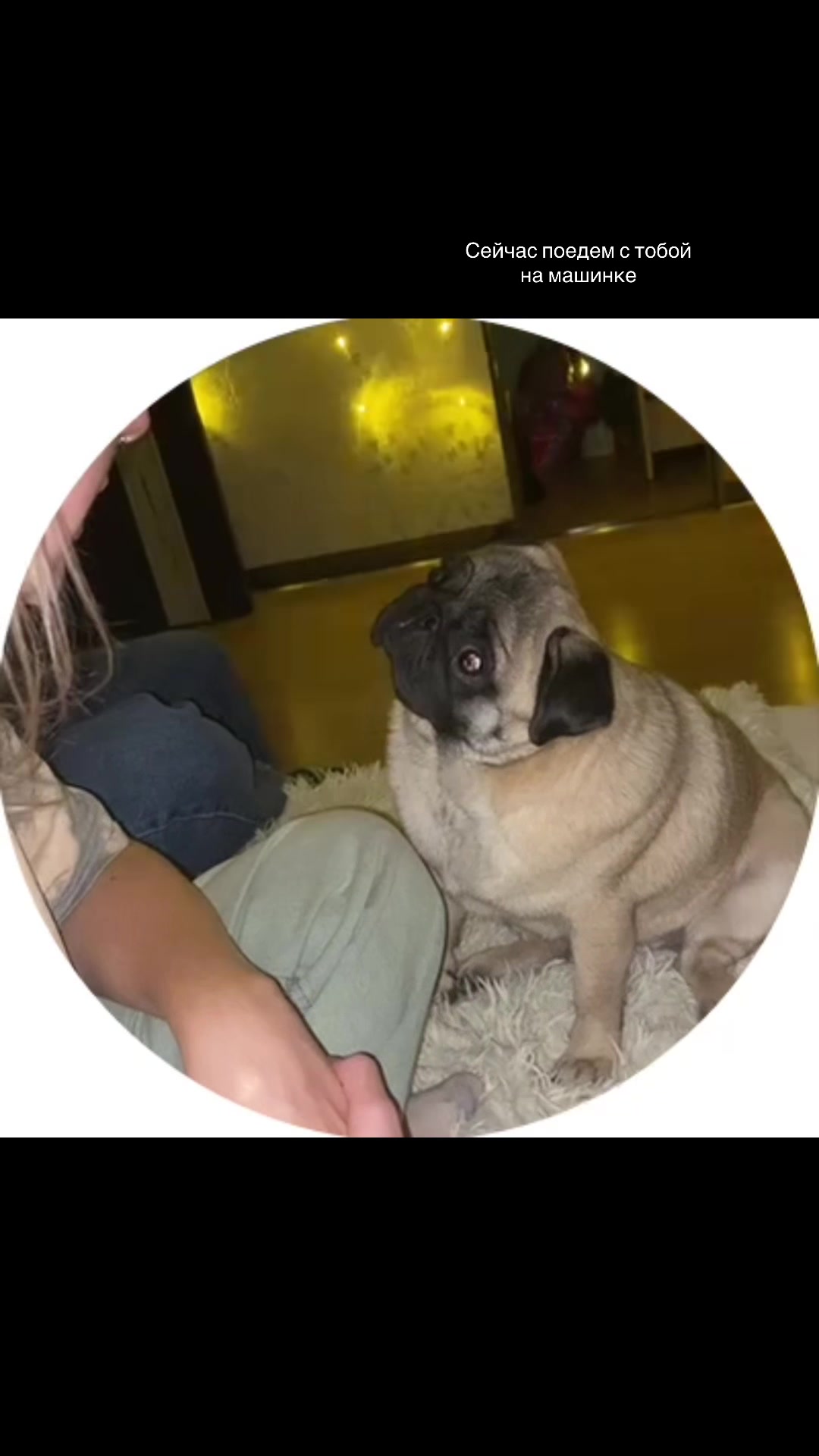 @Мопс Луиза