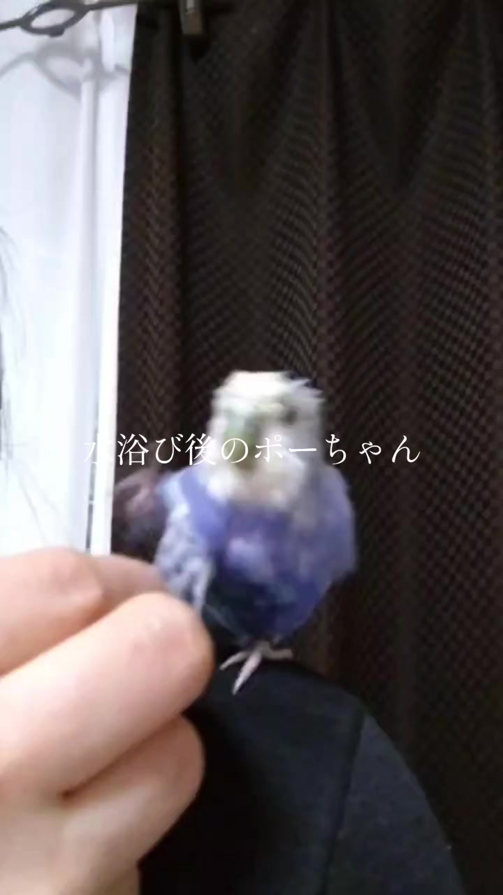 @かっちゃん💥