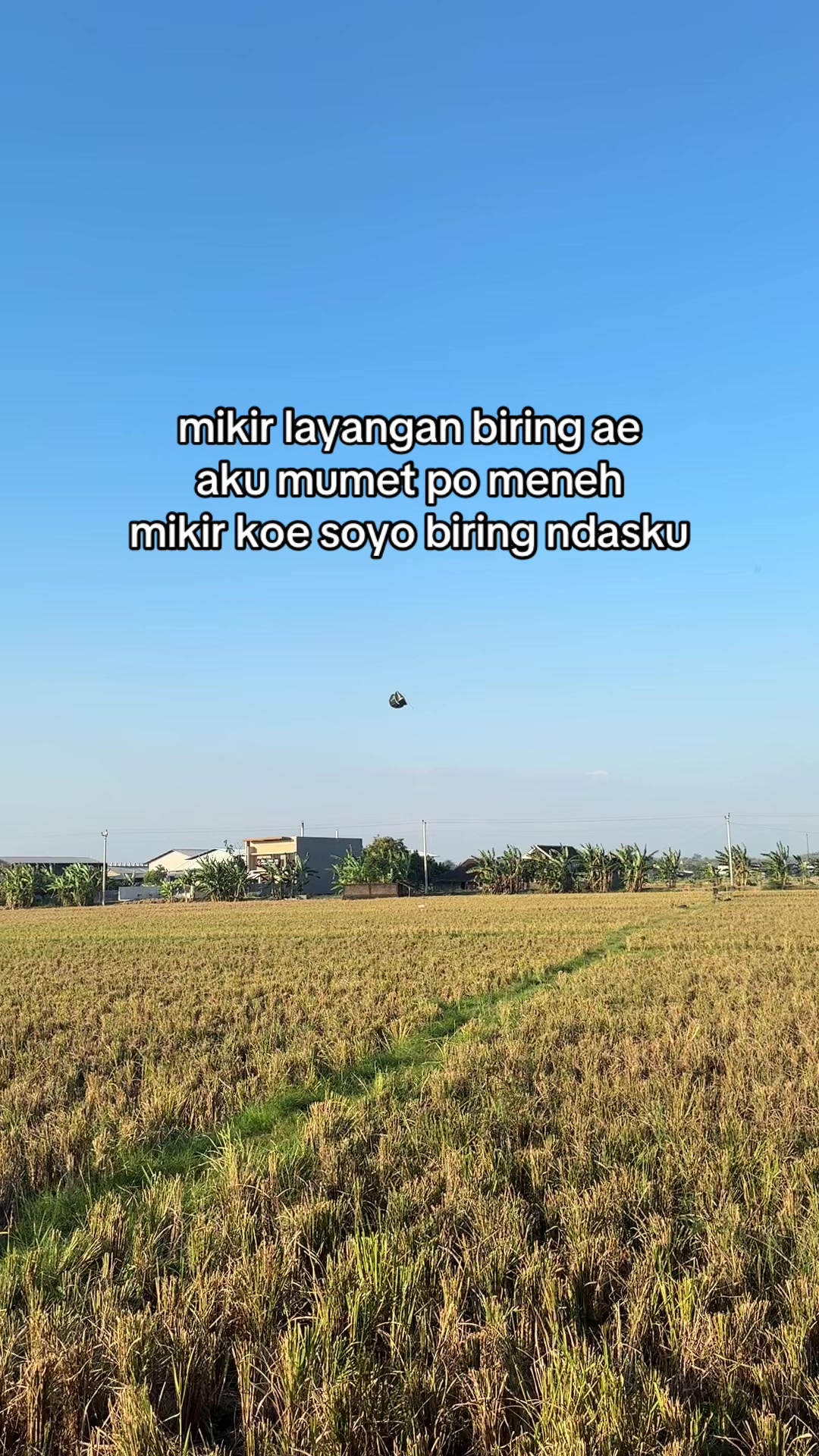 @Mas B
