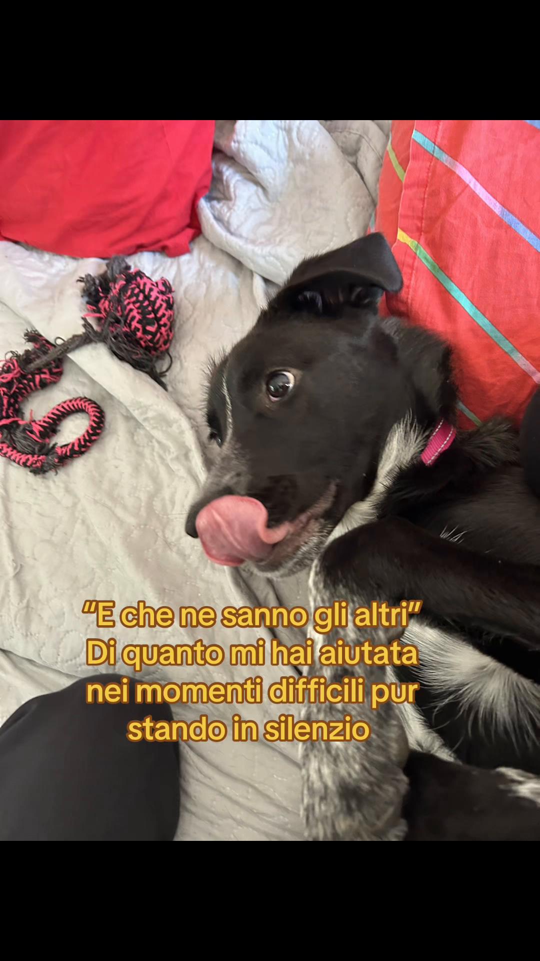 @Greta