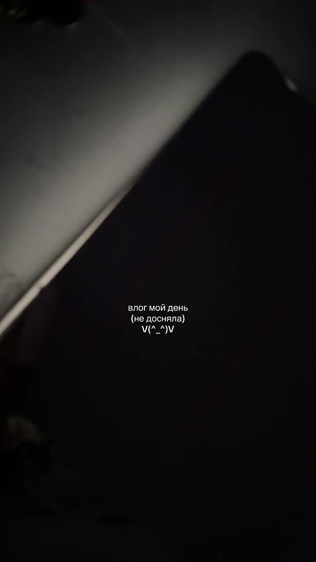 @(_ _).｡o○