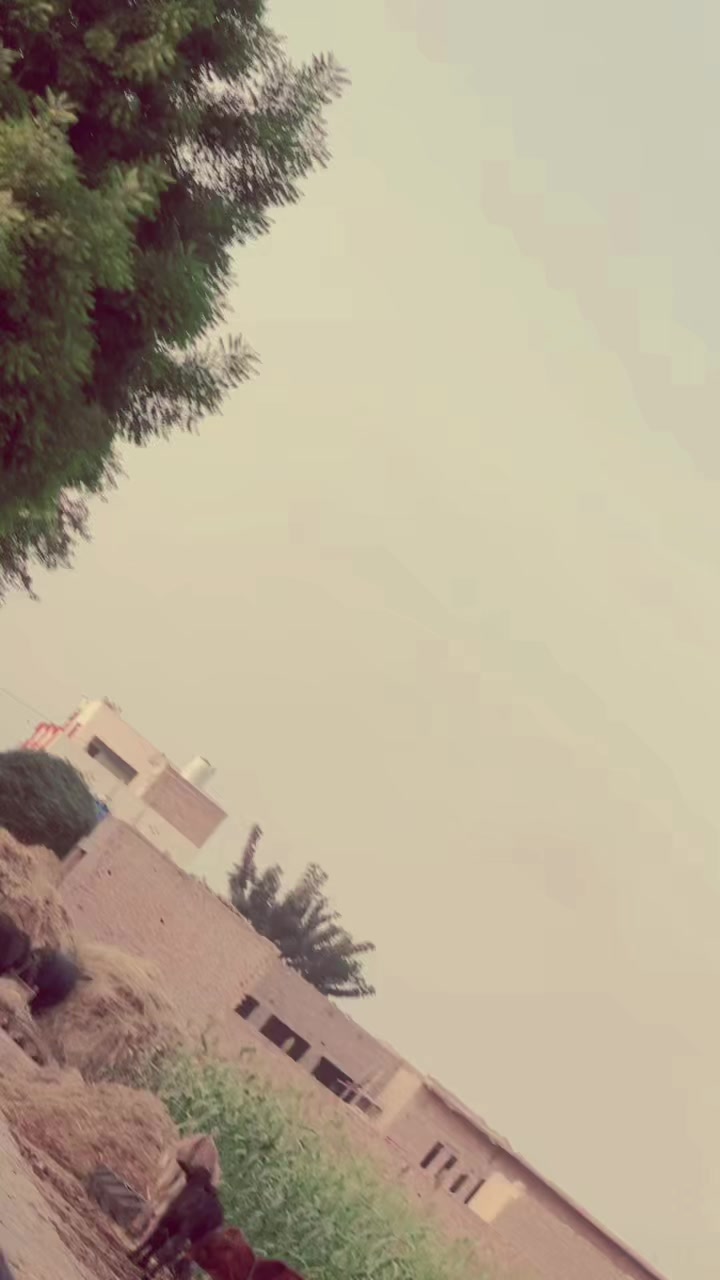 @Zain joyia