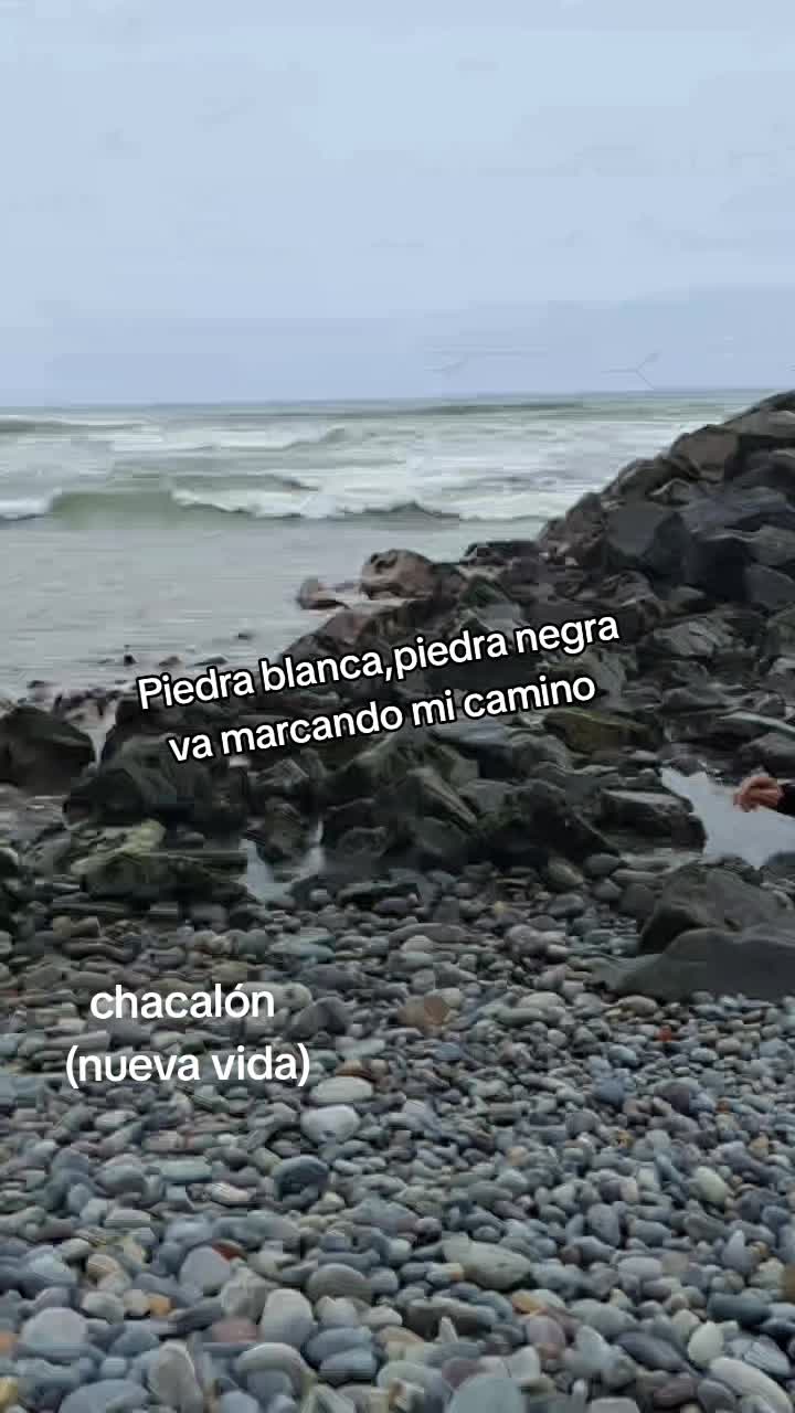 @Rosa Navarro Campos