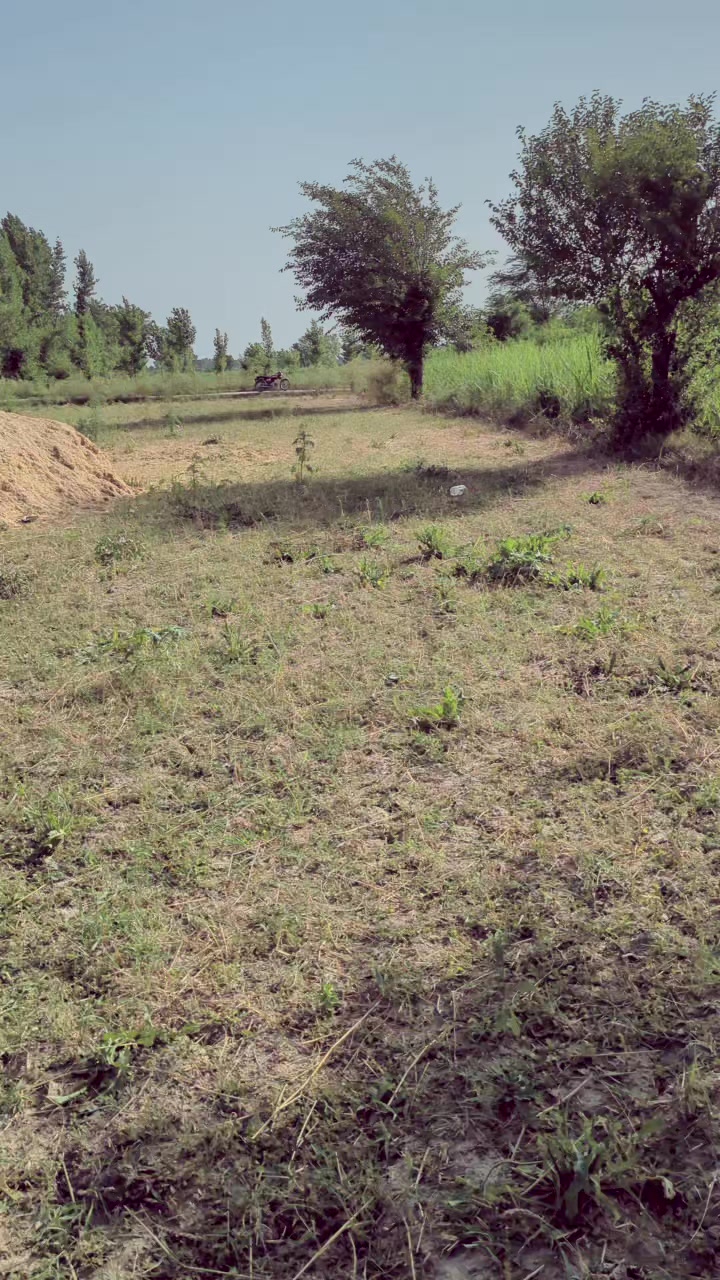 @علی حسن کھچی چنیوٹ الا